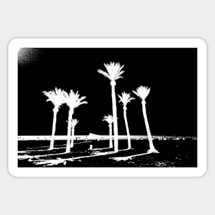 Group of palm trees on Benidorm beach black and white Sticker